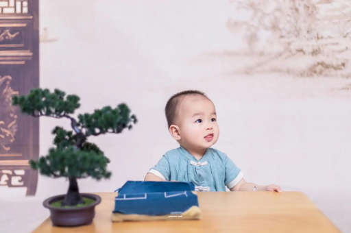 黄冈八个月宝宝零食